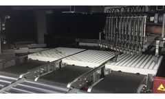 FlierSystems - Model YPS16L - Young Plant Sorter