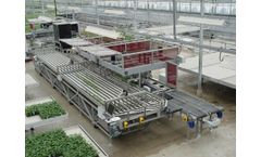 FlierSystems - Grading and Sorting Line for Young Plants