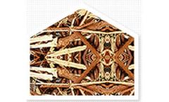 Radhe - Cotton Stalk