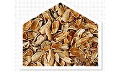 Radhe - Castor Seed Shell