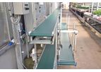 Lettuce and Herb Transportation Conveyors