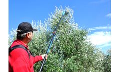 Oliveco - Electric Power Comb Olive Harvester