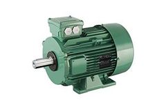 Leroy Somer - Model LSES - Three-Phase Induction Motors