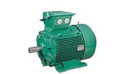 Leroy-Somer - Model FLSES - Three-Phase Induction Motors