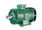 Leroy-Somer - Model PLSES - Three-Phase Induction Motors