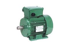 Leroy Somer - Model LS PR - Single Phase Induction Motors