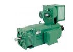 Leroy-Somer - Model LSK - DC Motors
