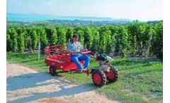 Robix - Model Rekord 250 T - Garden Tractor