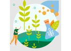 Plant Biotechnology