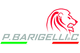 P. Barigelli & C. Srl
