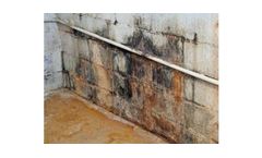 Mould Remediation Services