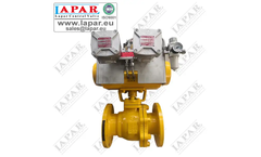 Lapar - Model API 608 - Side Entry Floating Ball Valve