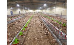 Avitech - Ground Breeding System