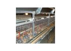 Cosmos - Layer Aviary System