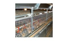 Cosmos - Layer Aviary System