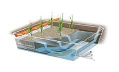 Horizontal Flow Reed Bed Plant