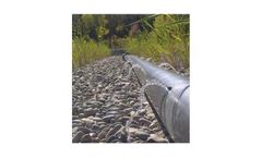 Phragmifiltre - Reed Bed Technology