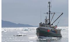 Backstopping and overrunning clutches solutions for marine industry