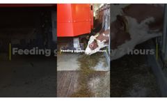 K2 EasyFeed Veitastrond EN - Video