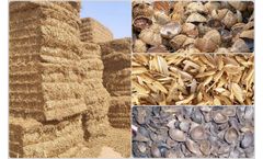 What is the best feedstock for biochar production? 