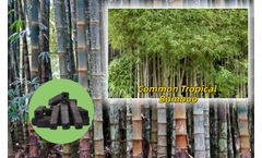 Henan Doing - Model DY-T-1,3,5 - Bamboo charcoal production equipment - Biochar Pyrolysis Plant for Coconut Shell/Agriculture Waste Recycling, Charcoal Production