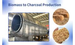 Henan-Doing - Model DY-T-1 - Biomass Pyrolysis Plant | Biochar Machine for Carbonizing Wood/Sawdust to Bio Coal & Fertilizer