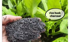 Henan-Doing - Model DY-T-1/3/5 - Automatic Charcoal Making Machine | Continuous Carbonization Plant for Biomass/Wood/rice husk to Charcoal Briquette Production