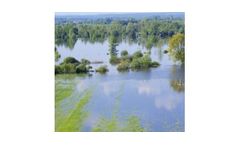 The Ecological Significance of High Flows on Alluvial Rivers
