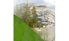 Introduction to the California Environmental Quality Act (CEQA)