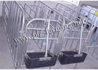 Pig Gestation Crates