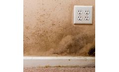 Mold & Grime Cleaner Prep and  Mold Prevention Spray for Residential Outdoor Application Ideas