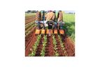 Comeb Inter-Row Rotavator