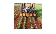 Comeb Inter-Row Rotavator