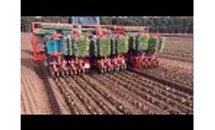 Checchi & Magli - Dual 12 Gold 12 Rows Cabbages Transplanter - Video