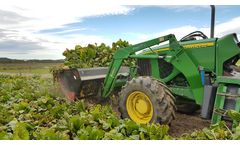Beet Bucket