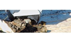 Sediment Sampling Services