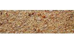 Sediment Thickness Studies Services