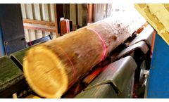 LogScanner - High Speed Lineal Log Scanning With Curve Sawing and Profiling