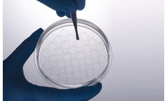 JET CellSLIP - Cell Slide