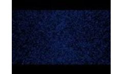 Exosens: Our Vision and Missions -Video