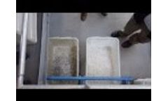 Mogensen MSort High Speed Optical Sorter - Salt Sorting - High Purity Levels Obtained Video