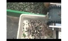 Mogensen MikroSort High Speed Optical Sorter for Glass CSP Video