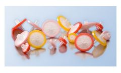 Model KX - Syringe Filters With Integral Pre-Filter - Process Particulate Laden Samples