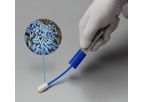 Real-Time - Listeria Assay Kit