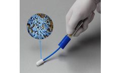 Real-Time - Listeria Assay Kit