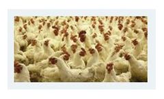 Advanced delivery system for Livestock industry