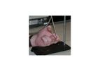 Remspec TissueView - In-Vitro and In-Vivo FTIR Spectroscopy