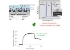 Label-Free Optical GMR Technology for Molecular Interaction Analysis