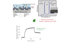 Label-Free Optical GMR Technology for Molecular Interaction Analysis