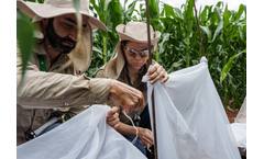 Sparks - Wolbachia Technology for Friendly - Fall Armyworm